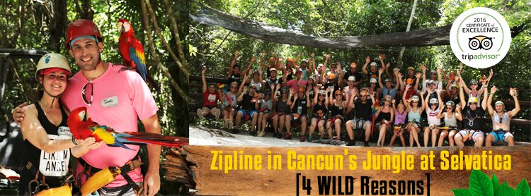 Ziplines in Jungle at Selvatica [4 WILD Reasons] Selvatica Cancun Mexico