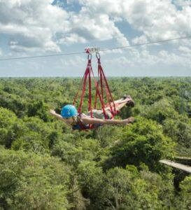 Top Tips for Visiting Selvatica - Things to Know before You Go