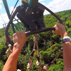 Go on an Adventure + Help Save the Planet w/ Selvatica!