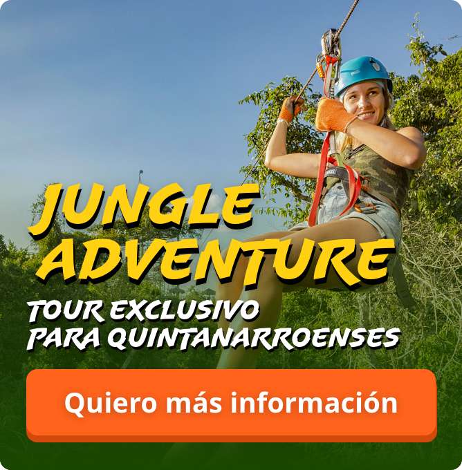 Banner Jungle Adventure Selvatica Mobile