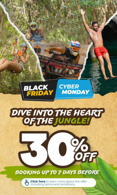 Black Friday and Cyber Monday Mobile Selvatica