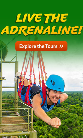new-selvatica-live-the-adrenaline-mobile-eng
