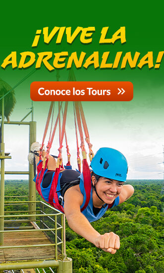 selvatica-vive-la-adrenalina-mobile-esp selvatica-vive-la-adrenalina-mobile-esp