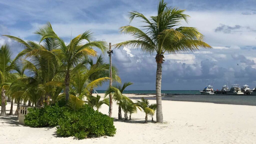 como es el clima en playa del carmen